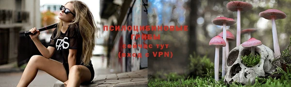 МДМА Гусиноозёрск
