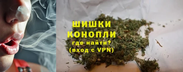 стаф Дмитровск