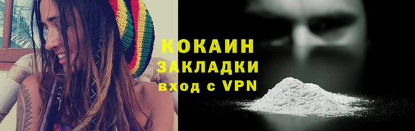 стаф Дмитровск