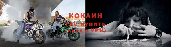 эйфоретик Гусев