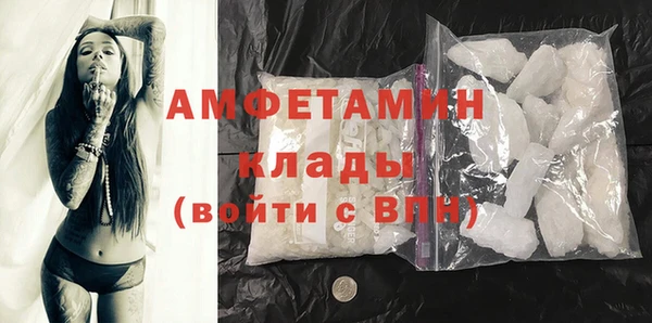 крисы Дмитров