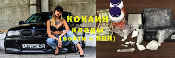 стаф Дмитровск