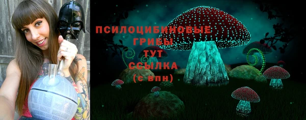 МДМА Гусиноозёрск