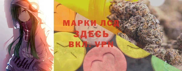 стаф Дмитровск